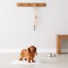 1777936932_71mj9NtmViL._AC_SL1500_.jpg Amazon Basics Leak-Proof Dog and Puppy Potty Training Pee Pads with Quick-Dry 5-Layer Super Absorbent Design, Regular Size 22 x 22 inch, Blue & White, 100 Count