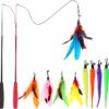 615CcfwziL._AC_SL1300_.jpg MeoHui Cat Toys for Indoor Cats, Interactive Cat Toy 2PCS Retractable Wand Toy and 9PCS Cat Feather Toys Refills, Funny Kitten Toys Cat Fishing Pole Toy for Bored Indoor Cats Chase and Exercise