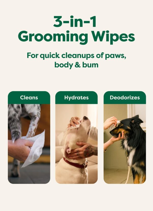 Earth Rated Dog Wipes, Hypoallergenic, 3-in-1 Cleaning and Hydrating, for Grooming Paws, Body and Butt, Lavender Scented, 100 Count