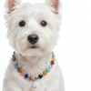 Handmade Matching Dog Collar & Owner Necklace Replaceable Pendant (Round Ball+Memory Vial) for Storing Pet Fur Gemstone Beaded Jewelry Set Dog Collar for Puppy, Large Cat Collar Set for Pet Lovers