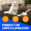 714vUkQ3h1L._AC_SL1500_.jpg ChomChom Roller & Rake – Reusable Pet Hair Removal Roller with Rake Attachment for Cat & Dog Fur on Furniture, Couch, Carpet, Car, Rugs, Bedding & More– Portable, Eco-Friendly