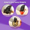 Hip Thrust Belt, Balency Hip Thrust Belt for Dumbbells Heavy, Booty Belt for Hip Thrust, Slip-Resistant Padding Hip Thrust Belt for Gym or Home Workouts, Hip Thrust Band for Dumbbell Kettlebell Plate