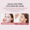 717Ez8cwjL._SL1500_.jpg medicube Jelly Gel Mask with Salmon DNA PDRN Pink Collagen | Overnight Face Mask for Glass Glow Skin | Elasticity, Hydrating, Firming and Moisturizing | Korean Skincare, 28g x 4ea