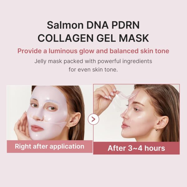 717Ez8cwjL._SL1500_.jpg medicube Jelly Gel Mask with Salmon DNA PDRN Pink Collagen | Overnight Face Mask for Glass Glow Skin | Elasticity, Hydrating, Firming and Moisturizing | Korean Skincare, 28g x 4ea