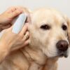 717PWeK3VL._AC_SL1500_.jpg Paw Science Dog Ear Cleaner Wipes – Finger Wipes for Dogs & Cats – Cleaning, Soothing, & Deodorizing Itchy Ears – Pet Ear Relief Solution (Coconut)