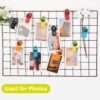 718Fcl8ToLL._AC_SL1500_.jpg Jetmore 12 Pack Chip Clips Bag Clips, Magnetic Bag Clip for Food Storage Heavy Duty, Plastic Food Clip for Chips, Snack, Kitchen, Refrigerator, Garden, Sewing, Fabric, Clothes Pins