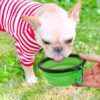 718zCnzMWZL._AC_SL1000_.jpg Dog Bowl Pet Collapsible Bowls, 2 Pack for Cats Dogs, Portable Pet Feeding Watering Dish for Walking Parking Traveling with 2 Carabiners (Small, Blue+Green)