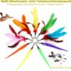 71AU9QQk8ML._AC_SL1500_.jpg MeoHui Cat Toys for Indoor Cats, Interactive Cat Toy 2PCS Retractable Wand Toy and 9PCS Cat Feather Toys Refills, Funny Kitten Toys Cat Fishing Pole Toy for Bored Indoor Cats Chase and Exercise
