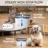 71EDcxQWNYL._AC_SL1500_.jpg Veken Innovation Award Winner 95oz/2.8L Pet Fountain, Automatic Cat Water Fountain Dog Water Dispenser with Replacement Filters for Cats, Dogs, Multiple Pets (Grey, Plastic)
