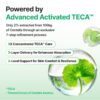 71ExOP9z-L._SL1500_.jpg CENTELLIAN 24 Madeca Cream Time Reverse (1.69 fl oz) - TECA Centella Asiatica Glow Face Cream Moisturizer, Hydrating, Firming, Smoother Even-Looking Skin, Helps Improve Skin Elasticity,Korean Skincare