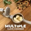 71KSkzQRkPL._AC_SL1500_.jpg Zulay Kitchen Premium Garlic Press Set - Rust Proof Professional Garlic Mincer Tool - Easy-Squeeze, Easy-Clean with Soft, Ergonomic Handle - Silicone Garlic Peeler & Brush (Silver)