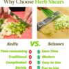 71ZpgYKKD8L._AC_SL1500_.jpg 2026 Upgraded Herb Scissors, Effortless Herb Shears Cutter Tool with Sharp Stainless Steel Blades for Fresh Herbs, Must-Have Kitchen & Cooking Gadget, Green