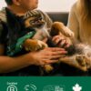 Earth Rated Dog Wipes, Hypoallergenic, 3-in-1 Cleaning and Hydrating, for Grooming Paws, Body and Butt, Lavender Scented, 100 Count