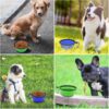 71ptdZHl2vL._AC_SL1000_.jpg Dog Bowl Pet Collapsible Bowls, 2 Pack for Cats Dogs, Portable Pet Feeding Watering Dish for Walking Parking Traveling with 2 Carabiners (Small, Blue+Green)