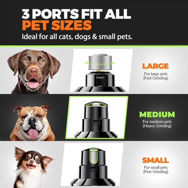 71qWiN7rPNL._AC_SL1500_.jpg Whisper Quiet Dog Nail Grinder with 4 LED Lights, Safe & Stress-Free for Sensitive Dogs Cats of All Breeds & Sizes, 3 Grinding Bits, 3-Speed, Pet Nail Trimmers, Rechargeable Painless Grooming Kit