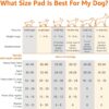 71qil-9hZ-L._AC_SL1500_.jpg Amazon Basics Leak-Proof Dog and Puppy Potty Training Pee Pads with Quick-Dry 5-Layer Super Absorbent Design, Regular Size 22 x 22 inch, Blue & White, 100 Count