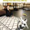 71tCz1PQTL._AC_SL1280_.jpg MeoHui Cat Toys for Indoor Cats, Interactive Cat Toy 2PCS Retractable Wand Toy and 9PCS Cat Feather Toys Refills, Funny Kitten Toys Cat Fishing Pole Toy for Bored Indoor Cats Chase and Exercise