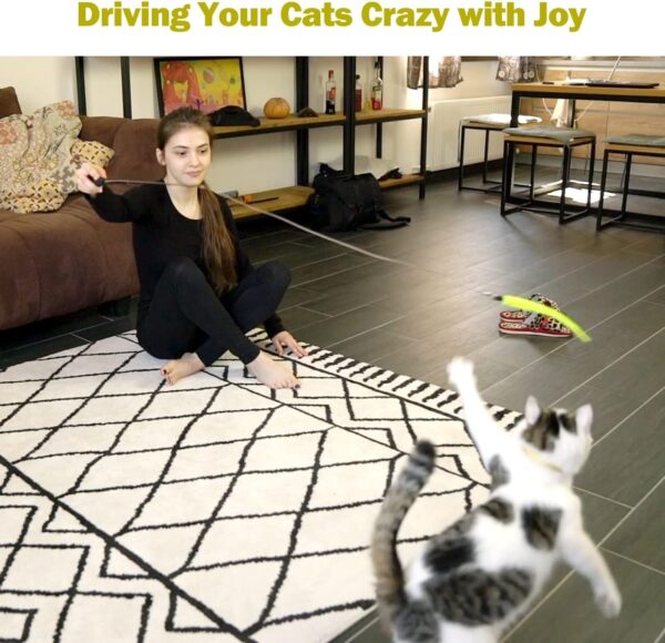 71tCz1PQTL._AC_SL1280_.jpg MeoHui Cat Toys for Indoor Cats, Interactive Cat Toy 2PCS Retractable Wand Toy and 9PCS Cat Feather Toys Refills, Funny Kitten Toys Cat Fishing Pole Toy for Bored Indoor Cats Chase and Exercise