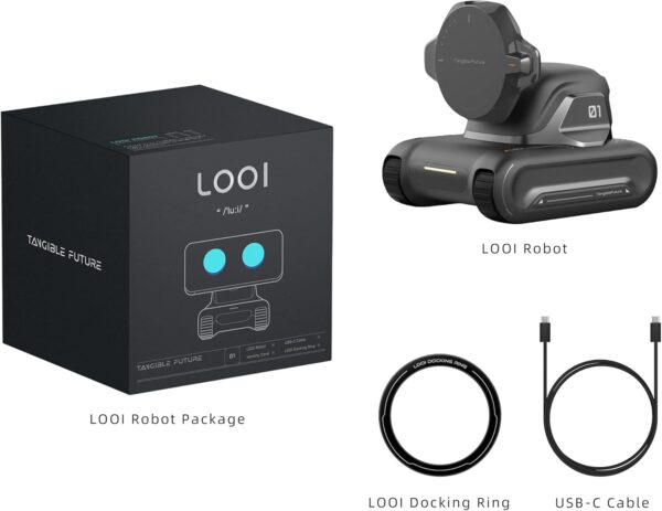 LOOI Robot-Space Black-AI Desktop Companion,ChatGPT&Gemini Voice Interaction,Visual Understanding,Personality&Memory,10W Wireless Charging,Tech&Gadget Gift,Electronic pets,Toy,Geek,Desktop Setup