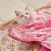 815v1h3d1CL._AC_SL1500_.jpg Luciphia 1 Pack 3 Blankets Super Soft Fluffy Premium Fleece Pet Blanket Flannel Throw for Dog Puppy Cat Paw Brown/Pink/White Small(23x16 inch)