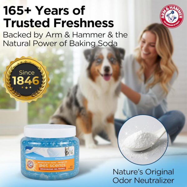 81E8I877-ZL._AC_SL1500_.jpg Arm & Hammer for Pets Air Care Pet Scents Deodorizing Gel Beads, Pet Odor Eliminator for Rooms Closets and Small Spaces with Long Lasting Odor Control, Fresh Breeze Scent, 12 oz