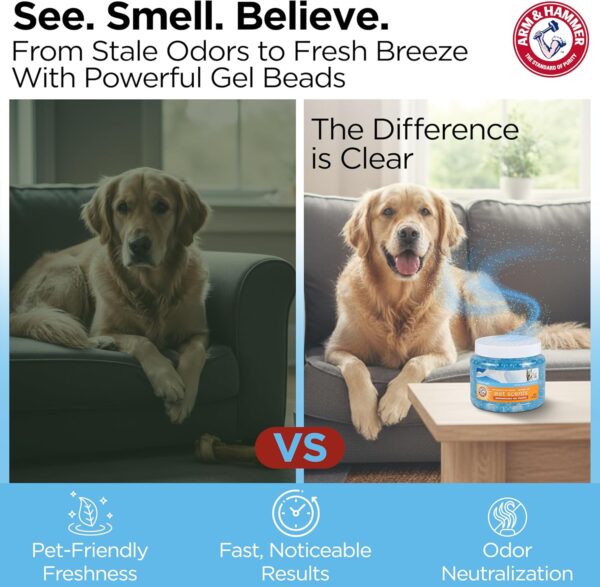 81MSlolTsUL._AC_SL1500_.jpg Arm & Hammer for Pets Air Care Pet Scents Deodorizing Gel Beads, Pet Odor Eliminator for Rooms Closets and Small Spaces with Long Lasting Odor Control, Fresh Breeze Scent, 12 oz