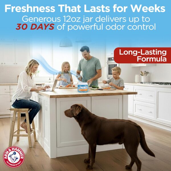 81a3MnsCfrL._AC_SL1500_.jpg Arm & Hammer for Pets Air Care Pet Scents Deodorizing Gel Beads, Pet Odor Eliminator for Rooms Closets and Small Spaces with Long Lasting Odor Control, Fresh Breeze Scent, 12 oz