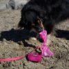 Best Pet Supplies Dog Poop Bags for Waste Refuse Cleanup, Doggy Roll Replacements for Outdoor Puppy Walking and Travel, Leak Proof and Tear Resistant, Thick Plastic - Pink Heart, 150 Bags