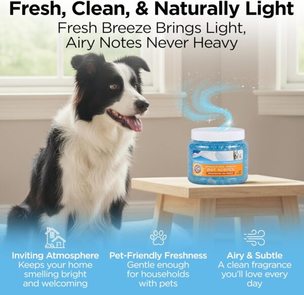 81dR8q2BcqL._AC_SL1500_.jpg Arm & Hammer for Pets Air Care Pet Scents Deodorizing Gel Beads, Pet Odor Eliminator for Rooms Closets and Small Spaces with Long Lasting Odor Control, Fresh Breeze Scent, 12 oz