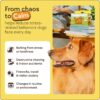 81ripv8GAnL._AC_SL1500_.jpg TheraPet MD 60-Day Dog Calming Diffuser Kit - Dog Pheromone Diffuser for Stress, Destructive Behavior, Pee Accidents, Separation Anxiety, Barking, Aggression & Chewing - 60-Day Refills Included